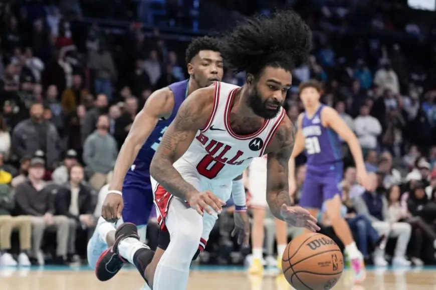 Coby White’s Hornets Debut Changes Immediate Stakes — Bulls Face a Familiar Matchup