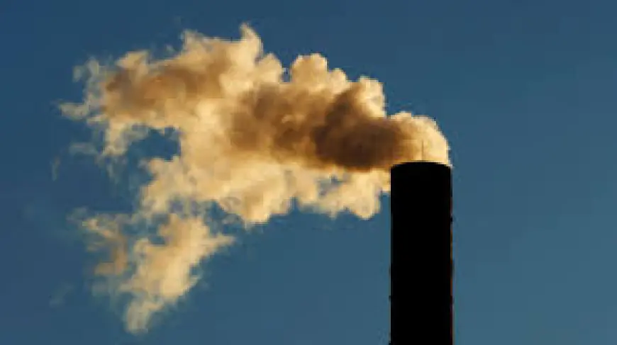 Tulsi Gabbard: Trump revokes landmark ruling that greenhouse gases endanger public health