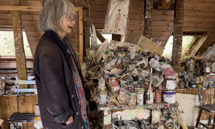 Rose Wylie: The 91-year-old art world rebel in her prime