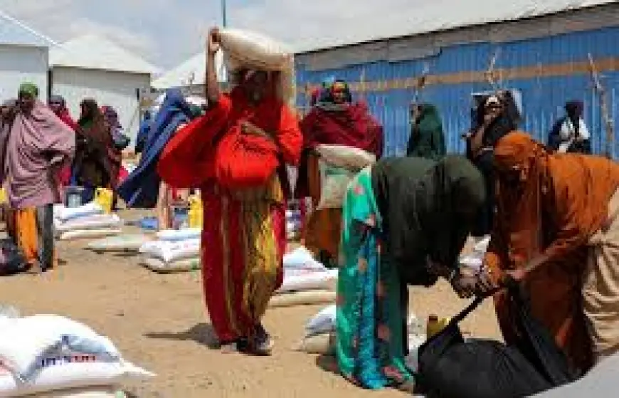 Somalia’s Drought Crisis Is Immediate: Nearly 6.5 Million Face Severe Hunger as Food Aid Edges Toward a Funding Cliff