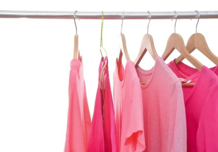 For Deline students and mentors, Pink Shirt Day is anchored in Dene law and WITS lessons