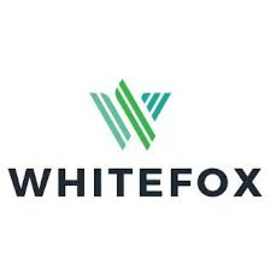 Low-carbon indoor greening helps cool, clean and cushion buildings, study finds