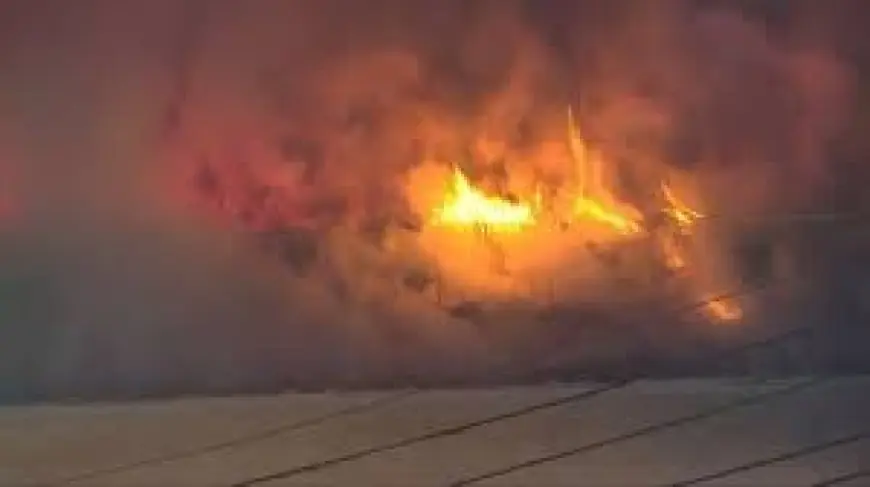 Wpxi: Crews Battle Apartment Fire on Grant Avenue in Millvale