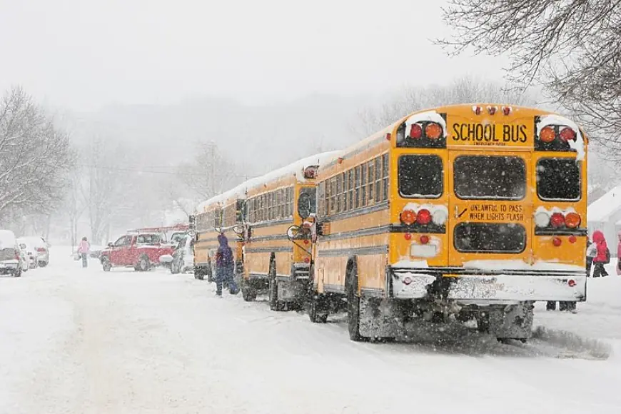 School delays today: School District of Philadelphia moves back to normal after closings and delays