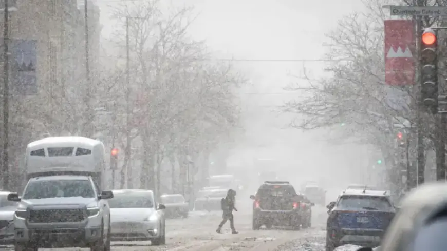Up to 10 cm of Snow Returns to Blanket Quebec