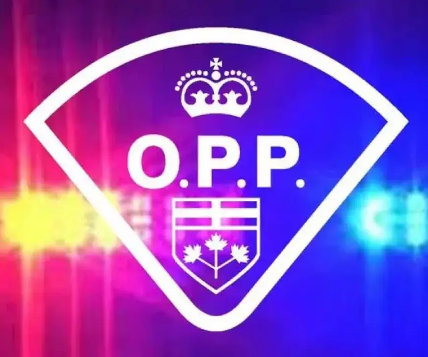 Traffic Slows Near Picton Due to Crash on Highway 49