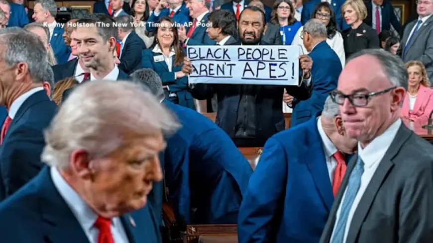 Al Green escorted out of State of the Union after holding 'Black people aren't apes' sign