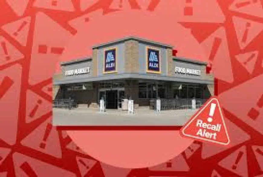 Aldis Frozen Meatball Recall: USDA Pulls Nearly 9,500 Pounds Over Metal Contamination