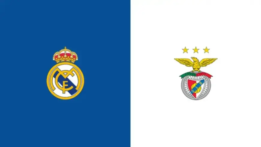 Watch Real Madrid vs Benfica: Champions League Live Stream, TV, Start Time