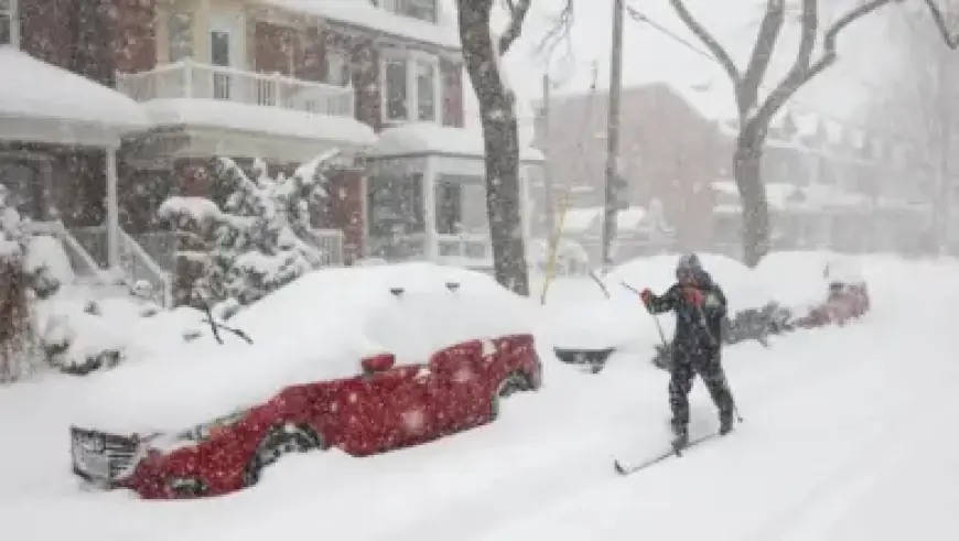 Video: Al-Anqari Explains Hilal’s Choice of Leonardo Amid Benzema’s Absence