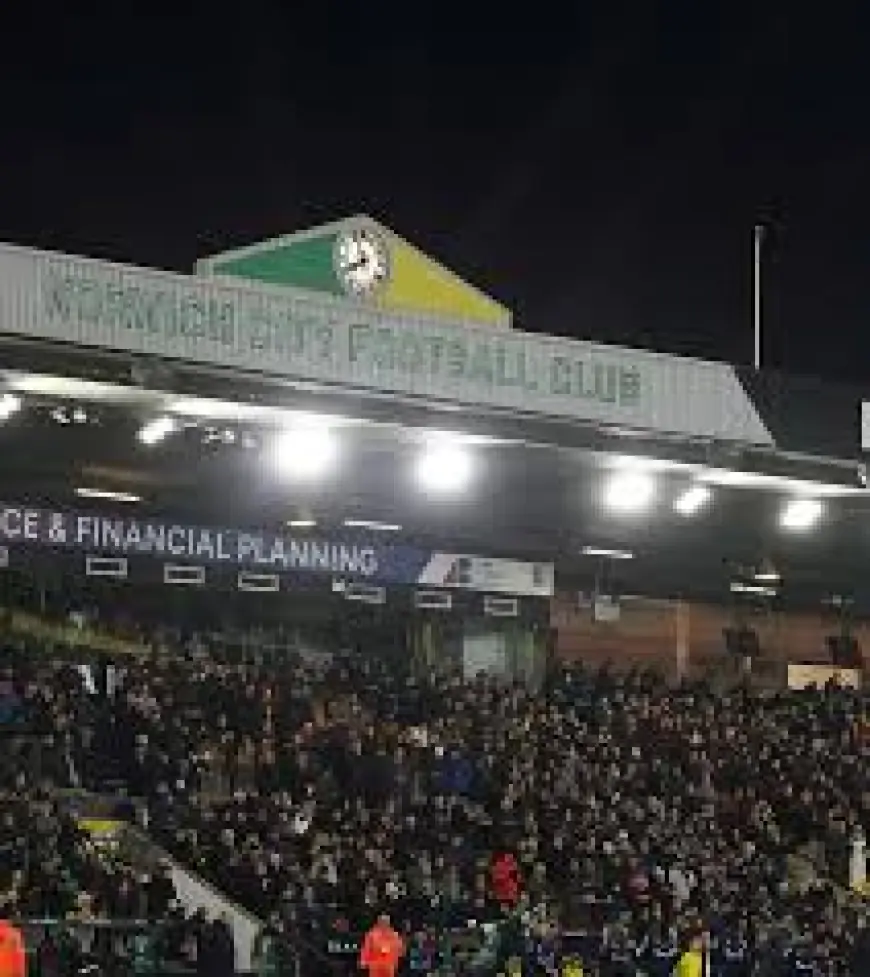 Norwich City Vs Sheffield Wednesday — norwich city vs sheffield wednesday: Canaries beat relegated Owls 2-0