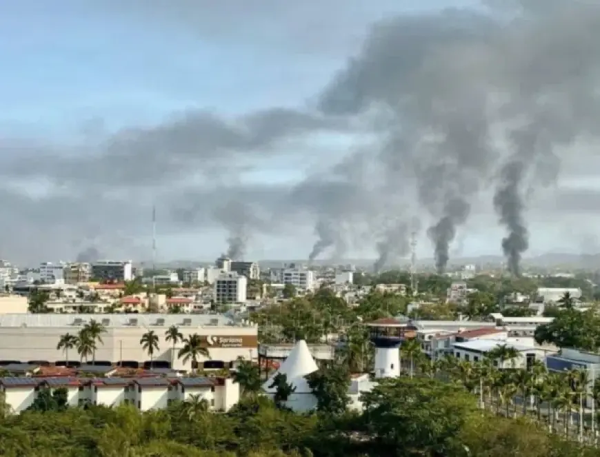 Puerto Vallarta News: What’s Driving Today’s puerto vallarta news