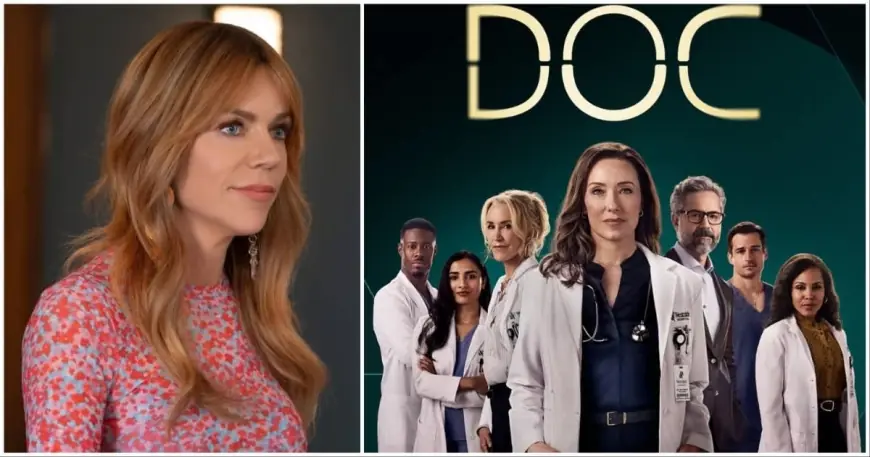 High Potential Episodes: ABC Drama Builds Momentum As Season Expands