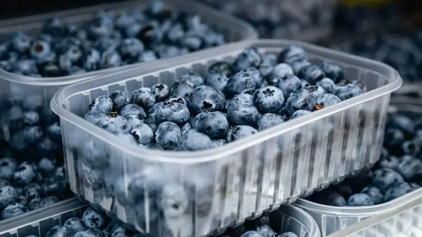 Blueberry Recall Upgraded to Highest Risk Level After Listeria Concern