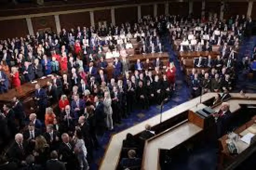 Rashida Tlaib and fallout: Democrats defend rashida tlaib after State of the Union