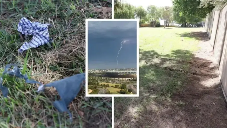 Lightning Strike Kills Dog, Destroys Perth Man’s Clothes