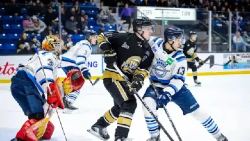 India Unlikely to Reach T20 World Cup Semi-Finals