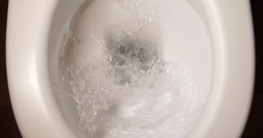 Squatty Potty founder Robert “Bobby” Edwards indicted on federal child pornography charges after multi-year probe