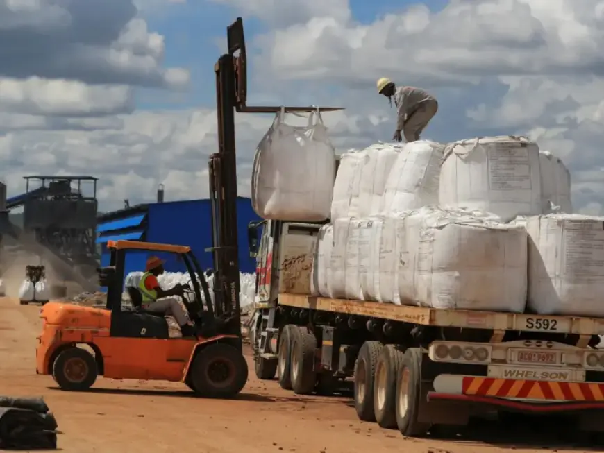 Zimbabwe Bans Export of Raw Minerals and Lithium Concentrate