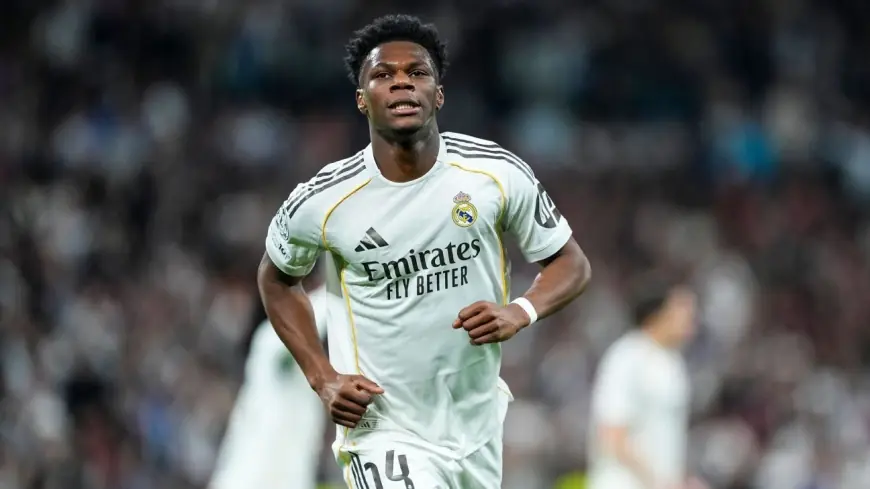 Real Madrid Vs Benfica: Vinícius strike and UEFA ban seal a last-16 place