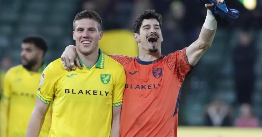 Norwich City Vs Sheffield Wednesday: Canaries win 2-0 as Toure exit and Medic switch shape night