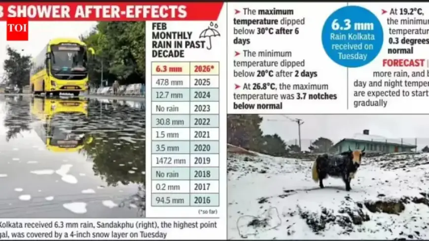 First Rain in Months Drops Max 4.4°C, Lows Fall Below 20°C