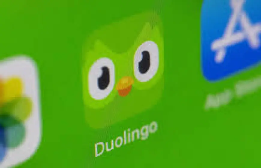 Duolingo Stock Falls After Growth-Focused Guidance, Despite Q4 Revenue Beat