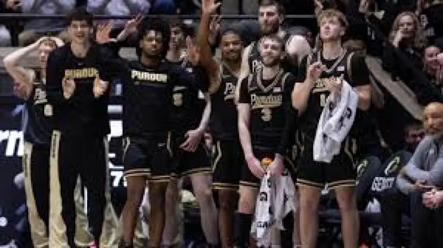 Rockets Vs Magic: How to Watch, Picks and Odds for Feb. 26 Game