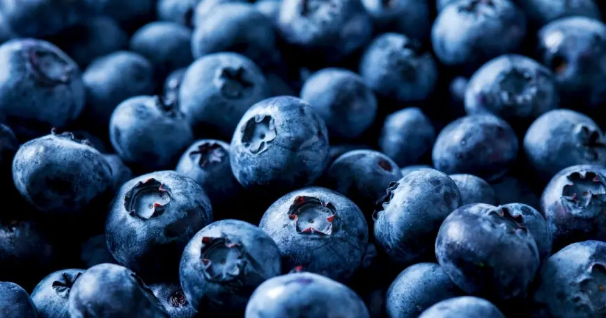 Blueberry Recall Hits Oregon Potato Company After FDA Upgrade