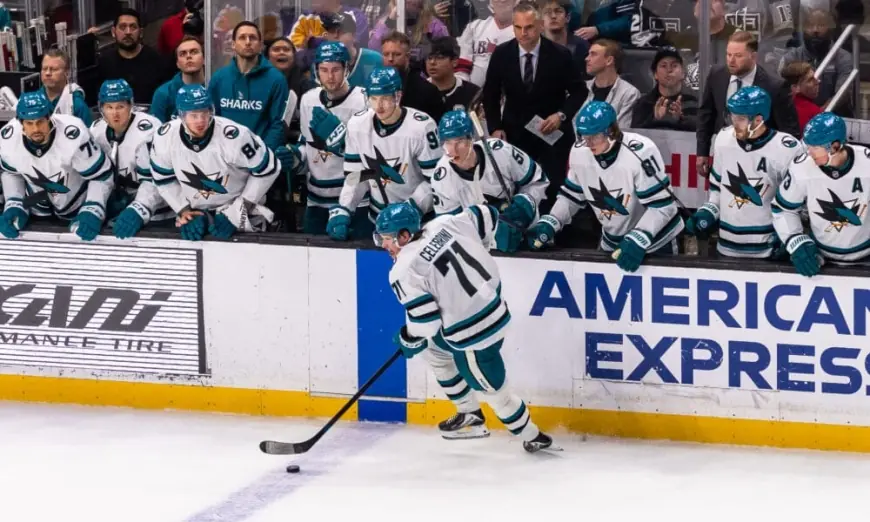Sj Sharks Playoff Push: 5 Things That Must Go Right as Stretch Run Tightens