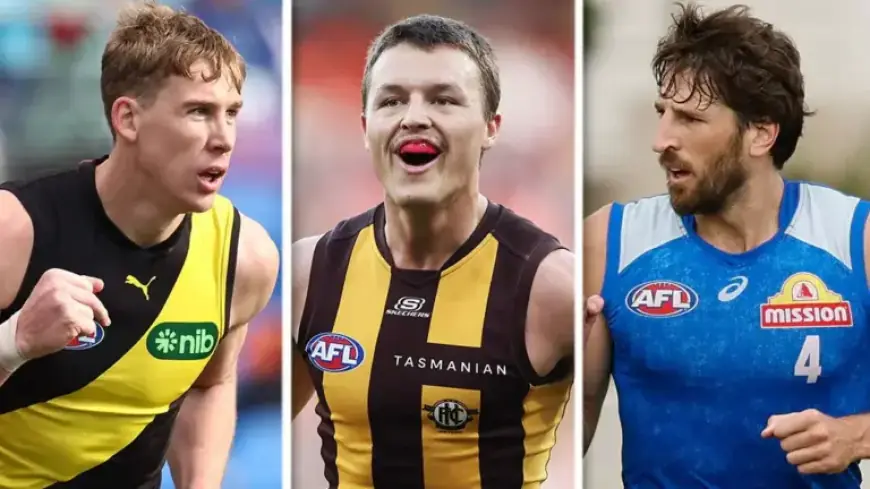 Hawk Returns, Big Tiger Named: Key Boost for Bulldogs