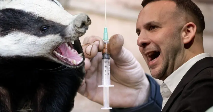 Green Party Policies: Surge, Scandal and Five Proposals Dominating the By-Election