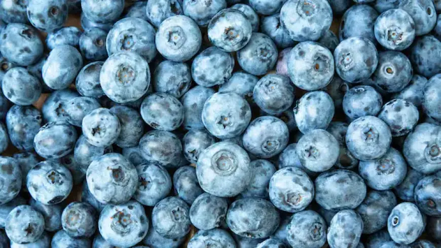 FDA Recalls Frozen Blueberries in U.S. and Canada Over Listeria Risk