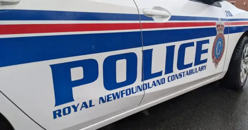 St. John’s Police Urge Residents to Lock Doors and Shelter in Place