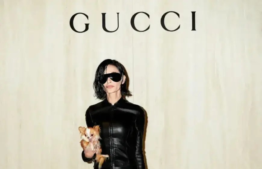 Demi Moore’s Stunning Bob: Wig or Authentic Haircut?