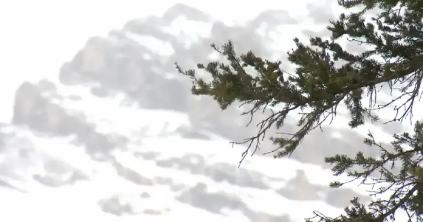 Avalanche Strikes Near Calgary: 1 Skier Unresponsive, 1 Rescued