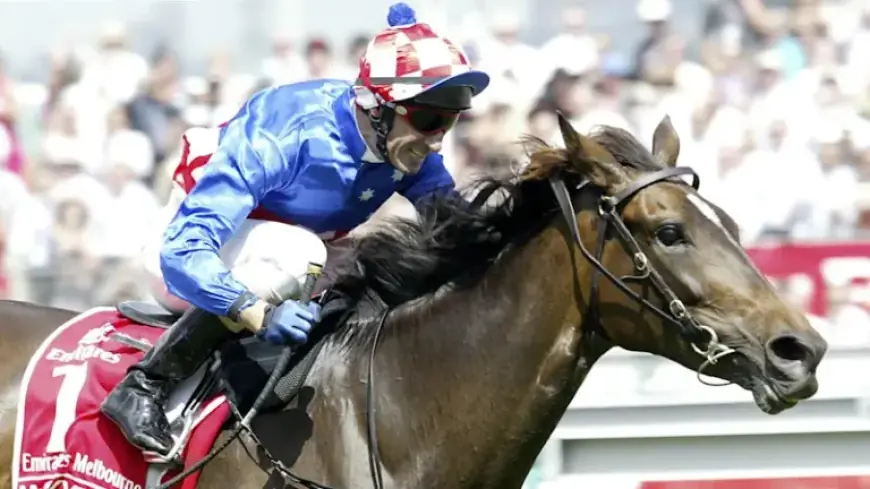 Legendary Melbourne Cup Champion Makybe Diva Passes, Racing World Mourns