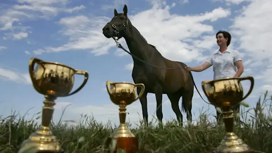Diva’s Historic Triumph: The Legendary Horse that Redefined Records