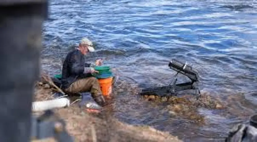 Gold Price Surge Prompts Prospectors as Value Jumps 80pc — Pawn Experts Warn and Advise