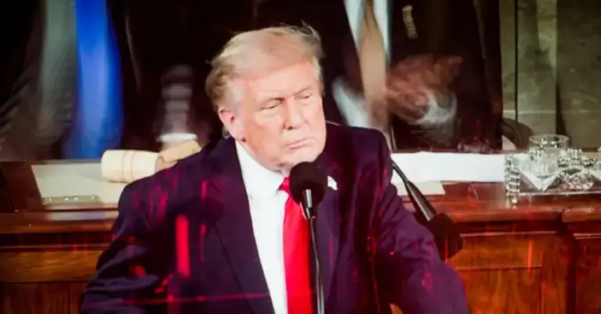 Highlights and Lowlights: Trump’s State of the Union Critiqued