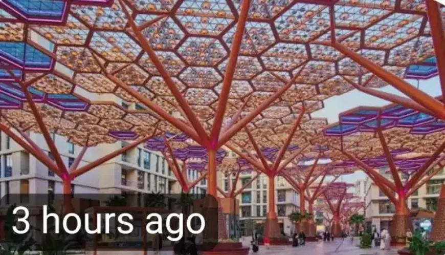 Island Unveils Air-Conditioned Forest to Combat Summer Heat