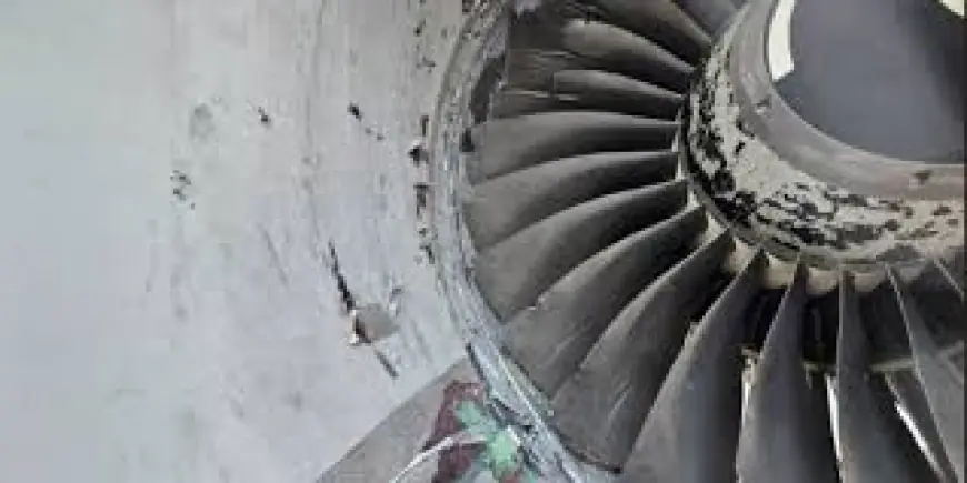 NTSB: Bird Strike Forced Alaska Airlines Flights Call Sign 2616 to Make Emergency Landing after Engines Ingested Eight Geese