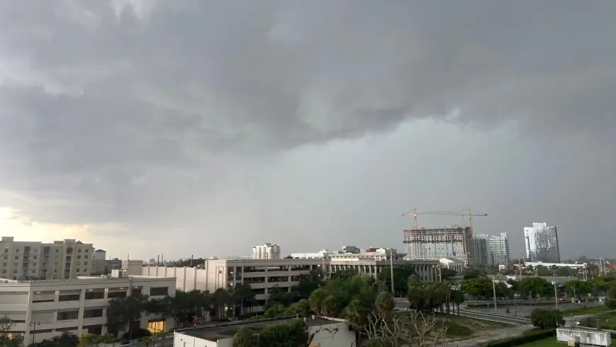 Tampa Weather: Why Local Readers Should Watch a Front That Raises Rain Chances Friday and Saturday