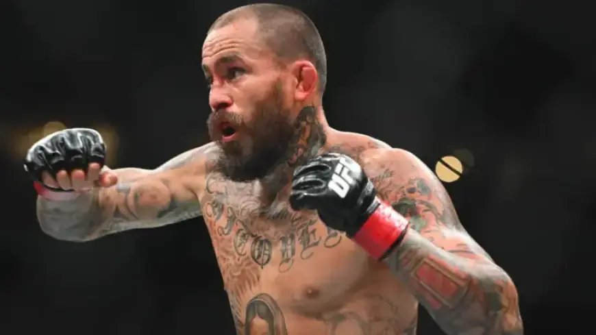 UFC Fight Night 268: Vera vs. Martinez – Odds, Picks, and Predictions