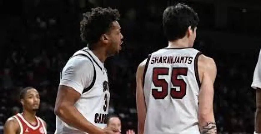 South Carolina Vs Georgia: Bulldogs Aim for 20th Win in Sold-Out Stegeman Coliseum