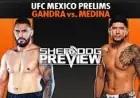 Sofia Montenegro Withdrawal Reshapes UFC Mexico Card as Regina Tarin Accepts Short-Notice Debut