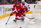 Red Wings Vs Hurricanes: red wings vs hurricanes — How to Watch, Odds and Game Thread
