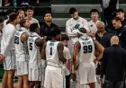 Tulane Basketball Fans Face High-Stakes Road Rematch in Tampa as Bulls Chase Conference Crown