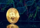 Bitcoin Price USD Drops to $66,400 as BTC and XRP Face Key Support Tests on TradingView