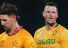Zimbabwe Vs South Africa: Unbeaten Proteas’ win reshapes semi-final picture and leaves Zimbabwe facing questions